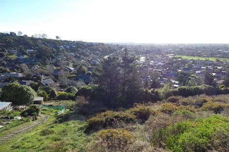 Photo of property in 17 Stronsay Lane, Hillsborough, Christchurch, 8022