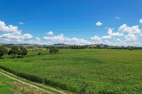 Photo of property in 927 Taniwha Road, Waerenga, Te Kauwhata, 3781