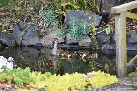 Photo of property in 600 Ryburn Road, Ohaupo, 3883