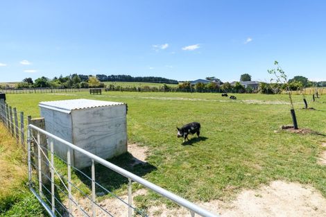 Photo of property in 20 Meavy Lane, Ashhurst, Palmerston North, 4470