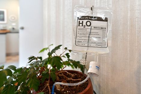 Photo of property in 2/11 Milton Road, Orewa, 0931