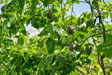 Photo of property in 427 Soldiers Road, Lower Kaimai, Tauranga, 3171