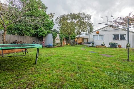 Photo of property in 43 Knowles Street, Terrace End, Palmerston North, 4410