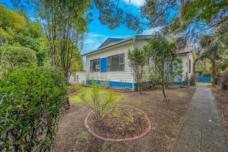 Photo of property in 51 Arapuni Street, Putaruru, 3411