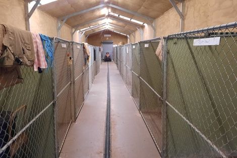 Photo of property in 746 Clutha River Road, Rongahere, Balclutha, 9274