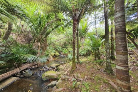 Photo of property in 50 Lone Kauri Road, Karekare, New Lynn, 0772