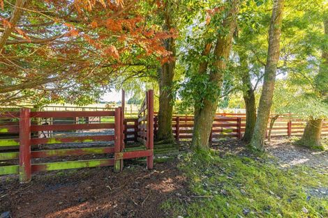 Photo of property in 273 State Highway 2, Opaki, Masterton, 5871