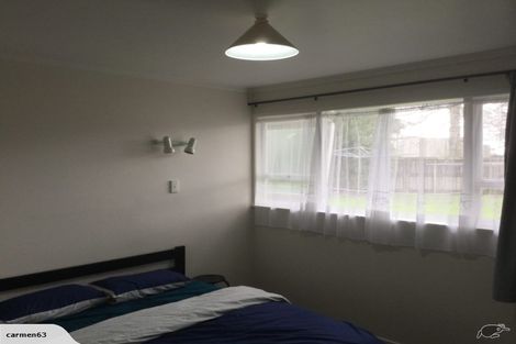 Photo of property in 52 Buscomb Avenue, Henderson, Auckland, 0610