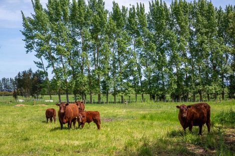 Photo of property in 412 Fabians Road, Morison Bush, Greytown, 5794