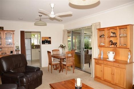 Photo of property in 6 Kingswood Road, Brookfield, Tauranga, 3110