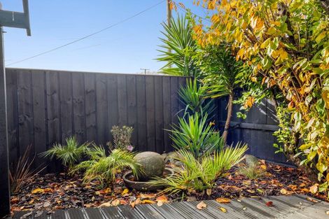 Photo of property in 64 Glasgow Street, Whanganui, 4500