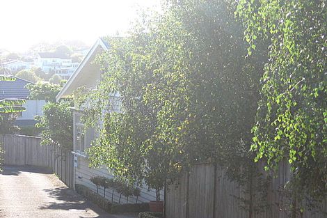 Photo of property in 6 Haast Street, Remuera, Auckland, 1050