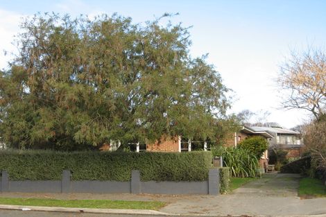 Photo of property in 173a Springfield Road, St Albans, Christchurch, 8014