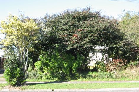 Photo of property in 16 Eliot Street, Enderley, Hamilton, 3214