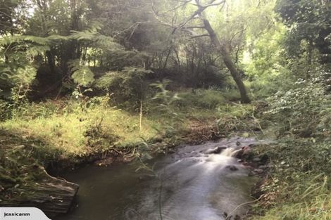 Photo of property in 431 Scotsman Valley Road, Tauwhare, Morrinsville, 3371