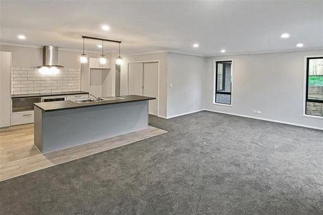 Photo of property in 11 Harry Richards Way, Pokeno, 2402