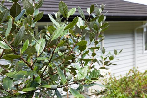 Photo of property in 12 Ella Anne Crescent, Warkworth, 0910