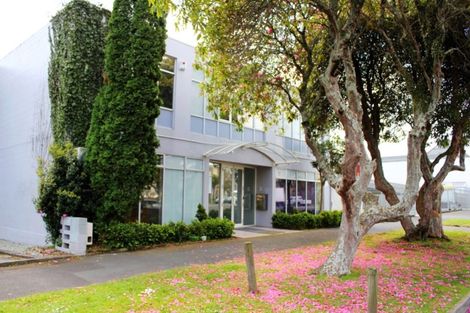 Photo of property in 12 Knox Street, Hamilton Central, Hamilton, 3204