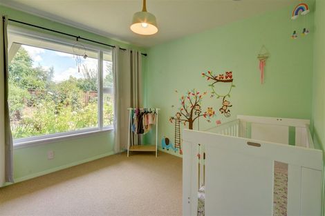 Photo of property in 129 Island Road, Kaiapoi, 7691