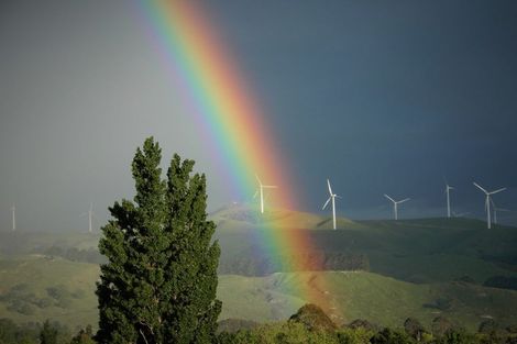 Photo of property in 215 Oxford Street, Ashhurst, 4810