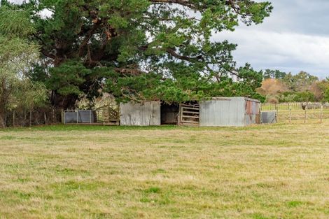 Photo of property in 137 Kent Street, Carterton, 5713