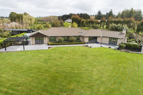 Photo of property in 317a Mount Biggs Road, Halcombe, Feilding, 4779