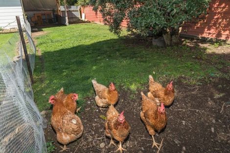 Photo of property in 41a Honore Drive, Linton, Palmerston North, 4472