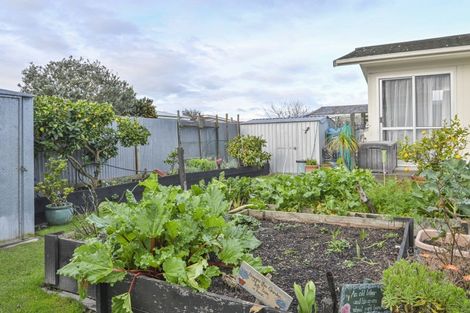 Photo of property in 168 Flaxmere Avenue, Flaxmere, Hastings, 4120