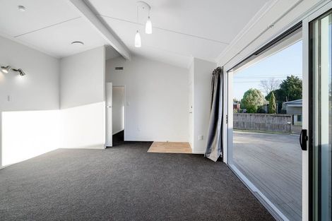 Photo of property in 60 Fitzroy Avenue, Fitzroy, Hamilton, 3206