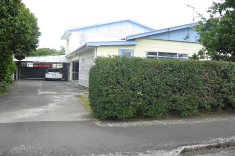 Photo of property in 41 Sedcole Street, Pahiatua, 4910