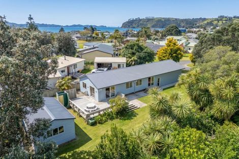 Photo of property in 17 Martin Place, Cooks Beach, Whitianga, 3591