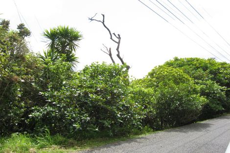 Photo of property in 47 Rayner Road, Piha, 0772