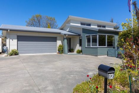 Photo of property in 12 Kensington Place, Springlands, Blenheim, 7201