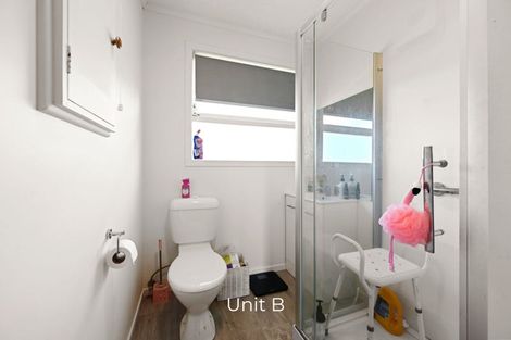 Photo of property in 58a Dinsdale Road, Dinsdale, Hamilton, 3204