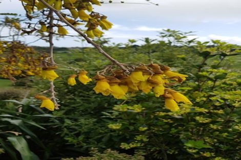 Photo of property in 20 Aderman Place, Hurworth, New Plymouth, 4310