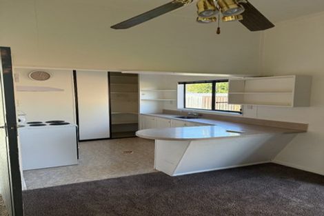 Photo of property in 36 Leslie Street, Waiau, 7332