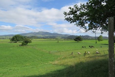 Photo of property in 2879 Arapuni Road, Pukeatua, 3880