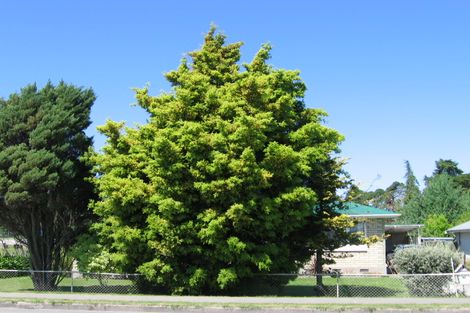 Photo of property in 60 Lytton Road, Riverdale, Gisborne, 4010