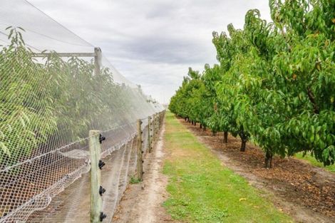 Photo of property in 200 Longlands Road, Longlands, Hastings, 4172