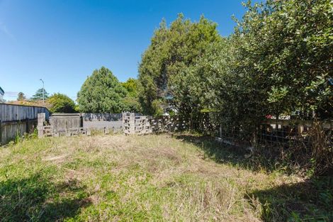 Photo of property in 24a Rawhiti Street, Dannevirke, 4930