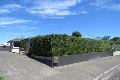 Photo of property in 23 Helmsdale Street, Waverley, Invercargill, 9810