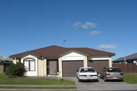 Photo of property in 13 Liddesdale Place, Papakura, 2110