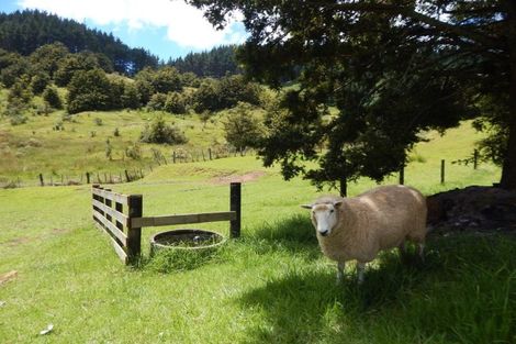 Photo of property in 581 Omaunu Road, Kaeo, 0479