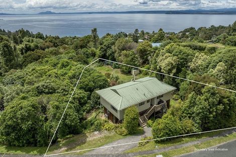 Photo of property in 67 Hauraki Terrace, Pukawa Bay, Turangi, 3381