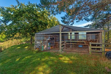 Photo of property in 224 Valley Road, Mangapapa, Gisborne, 4010