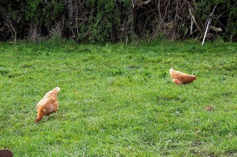 Photo of property in 405 Normanby Road, Okaiawa, Hawera, 4671