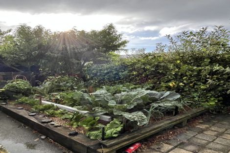 Photo of property in 19 Alloway Street, Fairlie, 7925