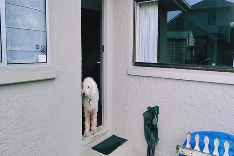 Photo of property in 8 Aston Drive, Waimairi Beach, Christchurch, 8083