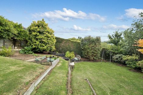 Photo of property in 21 Wray Street, Brockville, Dunedin, 9011