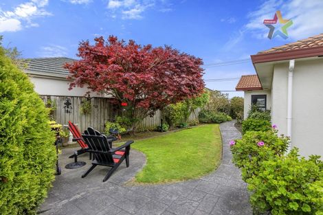 Photo of property in 17 Mabey Road, Avalon, Lower Hutt, 5011